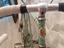 Immagine 5