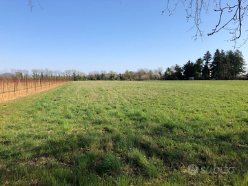 Bel terreno agricolo a Manzano (Ud) da 18.000 mq