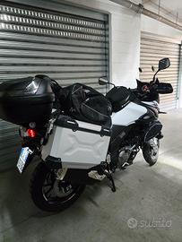 suzuki v strom