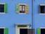Immagine 13