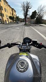 Fz6 s1