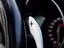 Immagine 12
