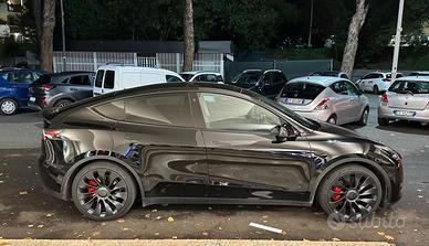 Tesla Model Y Performance - Massimo Potenziale