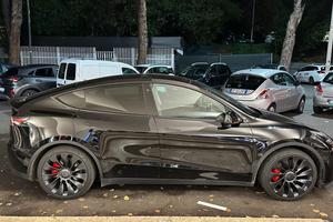 Tesla Model Y Performance - Massimo Potenziale