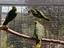 Immagine 3