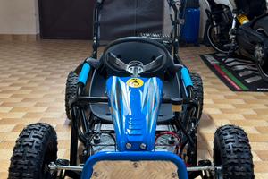 Buggy 100 4T