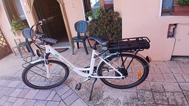 bici assistita
