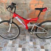 Bicicletta inders uomo cambio logan