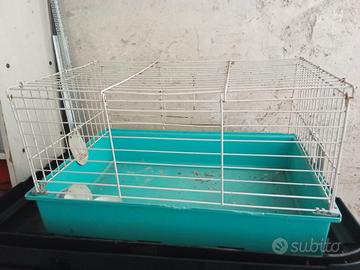 gabbietta per criceti o conigli