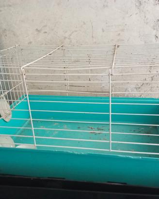gabbietta per criceti o conigli