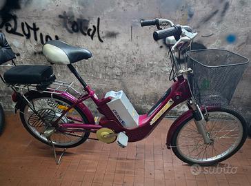 Bicicletta Elettrica da Passeggio Cranes S