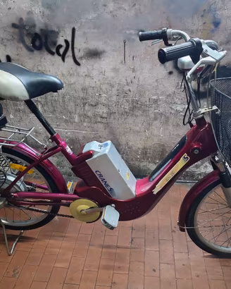 Bicicletta Elettrica da Passeggio Cranes S