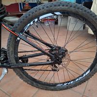 Bottecchia sport sc concept