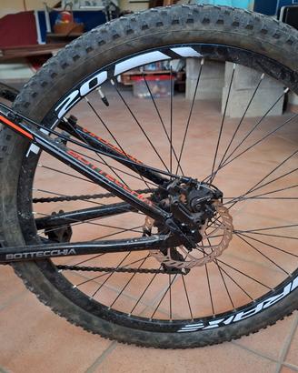 Bottecchia sport sc concept