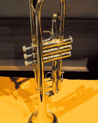 TROMBA BACH STRADIVARIUS 37