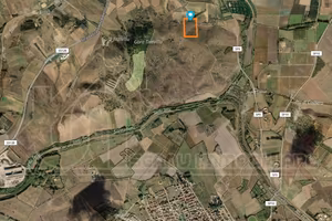 Ussana 6 ettari in corpo unico