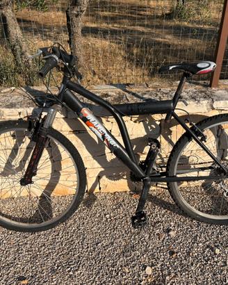 Biciclette da ragazzo 26”