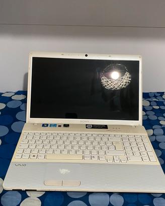Portatile Sony Vaio vpceh2j1e
