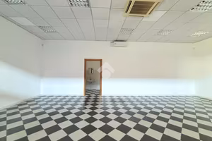 MULTILOCALE A PEGOGNAGA