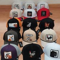 cappelli Goorin Bros 
