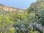 Immagine 20