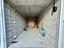 Immagine 26