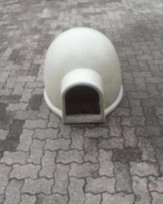 cuccia per cane