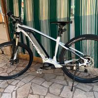 Bicicletta FOCUS JARIFA