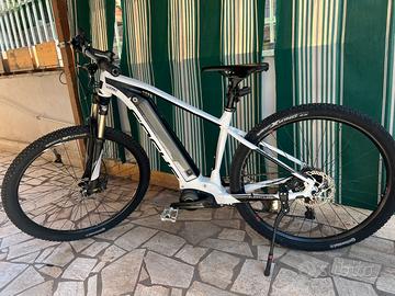 Bicicletta FOCUS JARIFA