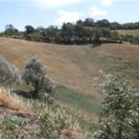 RGE 116/2019 - Tribunale di Urbino - Lotto 2