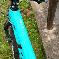 bici MTB gravel 