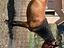 Immagine 1