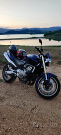 Honda Hornet 600