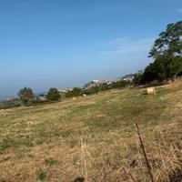 Terreno ad acuto provinca (FR)