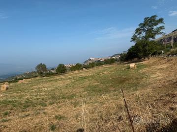 Terreno ad acuto provinca (FR)