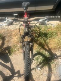 MOUNTAINE BIKE