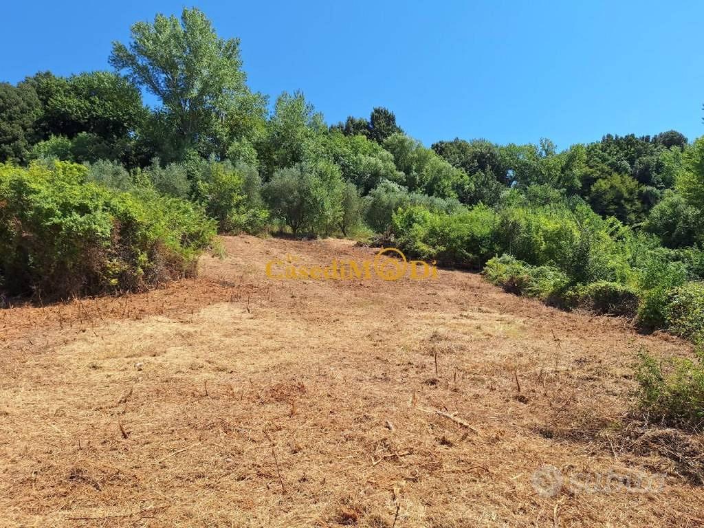 Terreno di 8000 m² a Fauglia - Vista 5