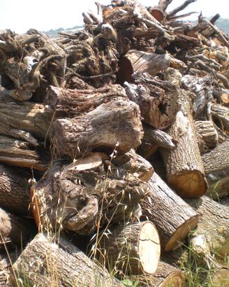 Legna da ardere