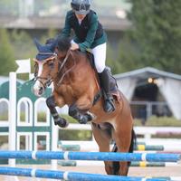 Per passaggio al cavallo