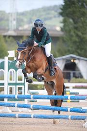 Per passaggio al cavallo