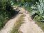 Immagine 19