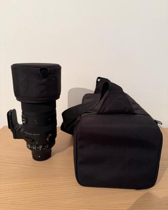 Sigma 150-600mm F5-6.3 DG DN OS E-mount