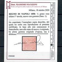 1858 NAPOLI 1/2 GRANA ROSA CHIARO NUOVO MH* CERTIF