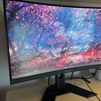 monitor gaming qhd 165hz