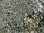 Immagine 29