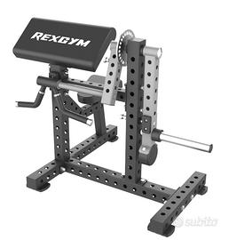 Rexgym panca Bicipiti e Tricipiti