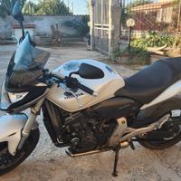 honda hornet