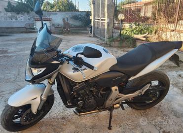honda hornet