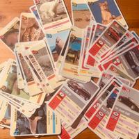 Carte da gioco quartetto più animali, varie