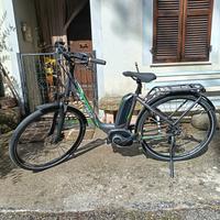 Bicicletta elettrica 
